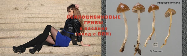 крисы Данков