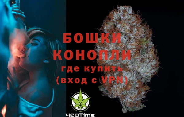 сатива Богородицк