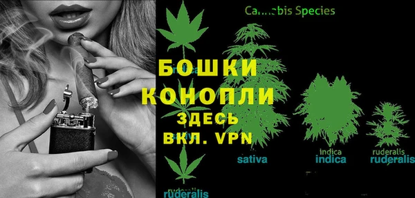 трава Галич