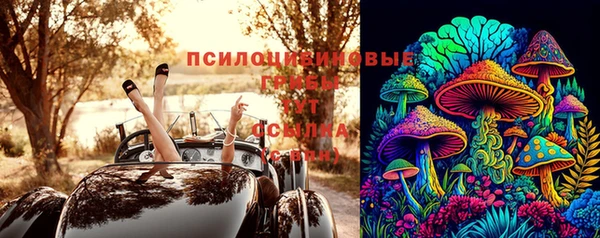 индика Богданович