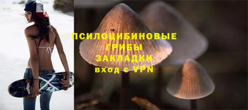 мориарти состав  Заречный  Псилоцибиновые грибы MAGIC MUSHROOMS 