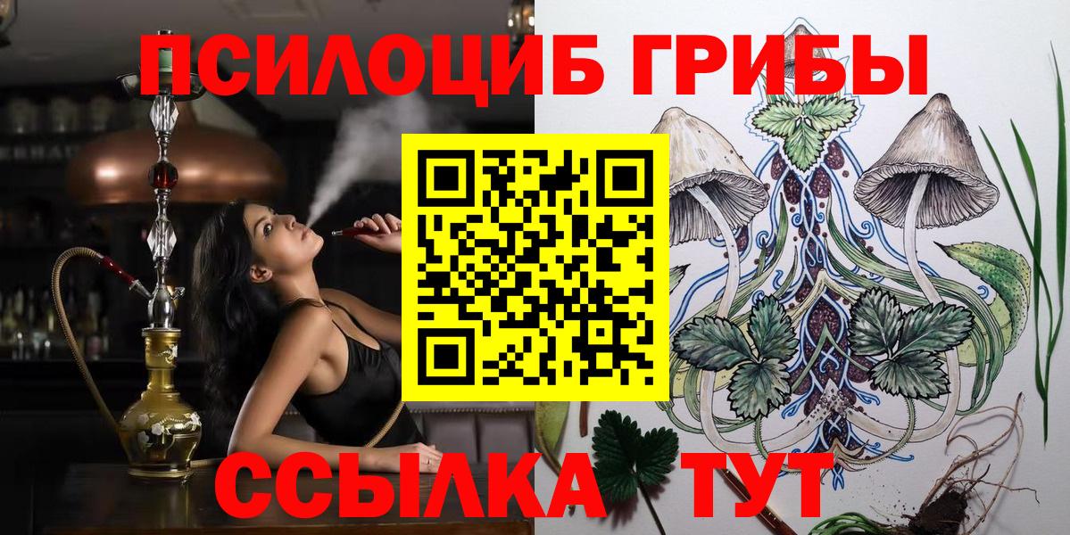 Галлюциногенные грибы Psilocybe  купить   Псилоцибиновые грибы Psilocybine cubensis  Заречный 