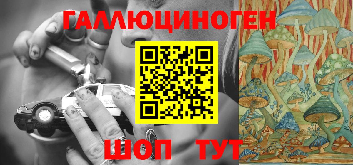 Заречный  Галлюциногенные грибы Psilocybine cubensis  купить наркоту  Вход с VPN  Псилоцибиновые грибы Psilocybe 